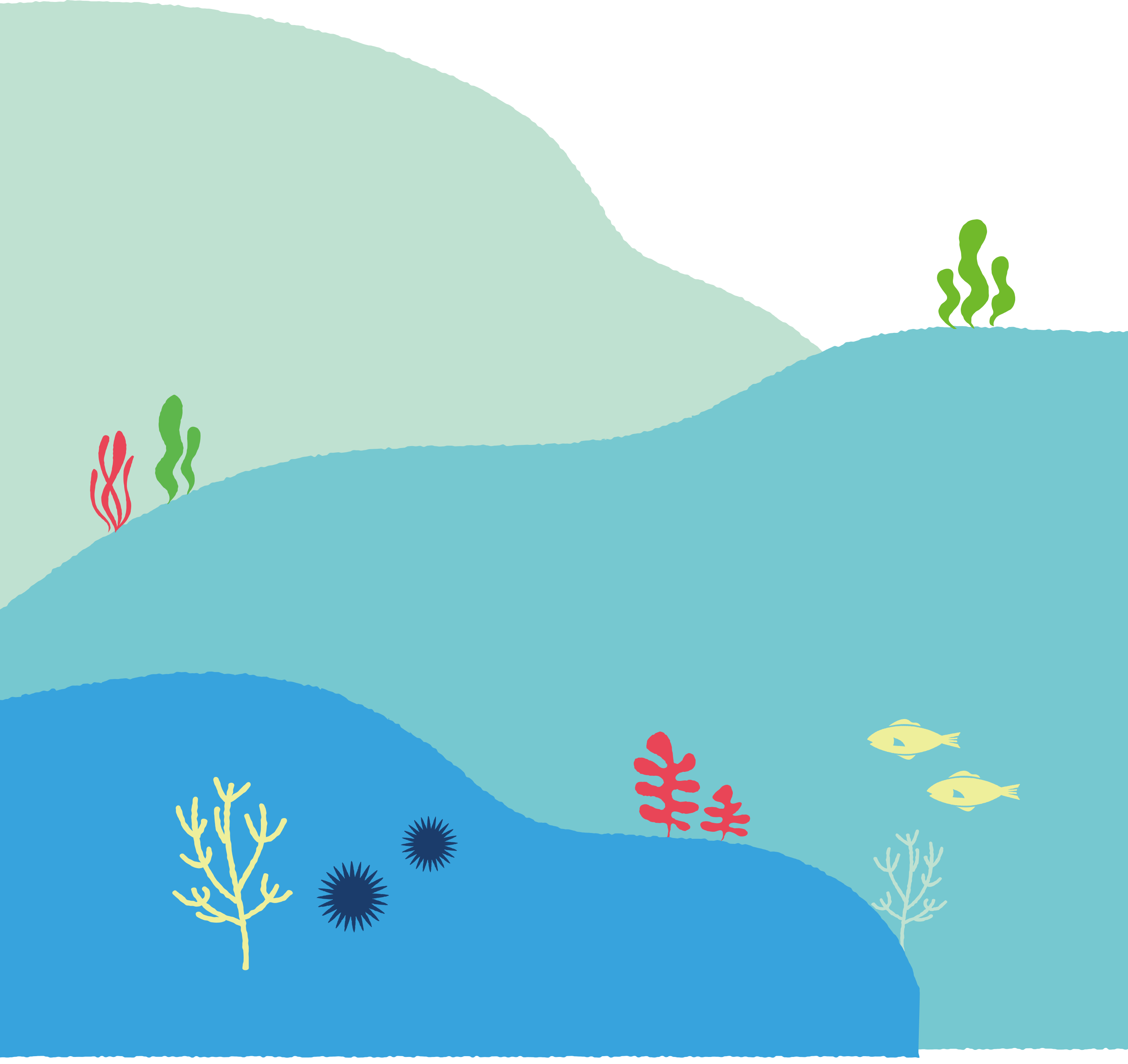 青色の海の背景(大)