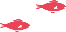 ２匹の赤い魚の画像